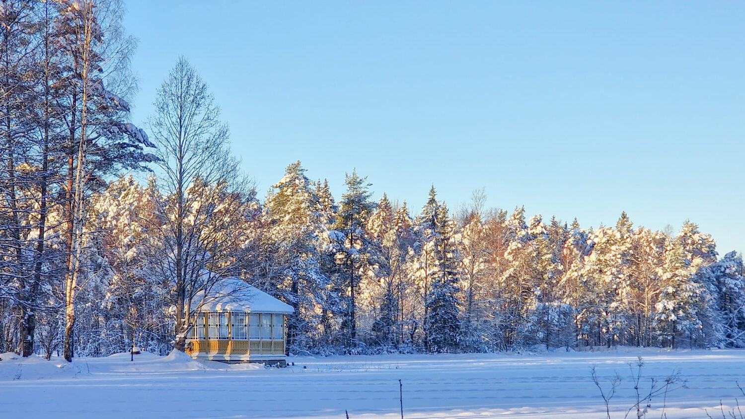 Mellandammen i vinterskrud